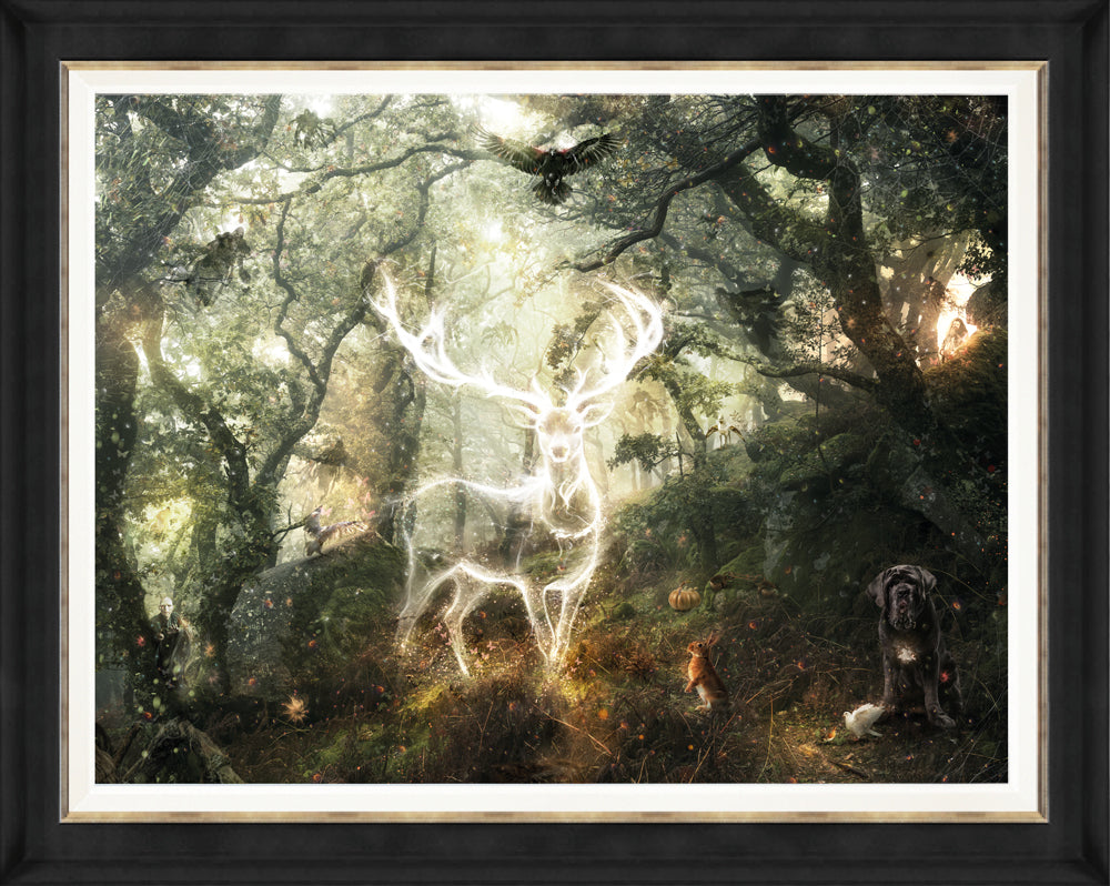 Mark Davies Harry Potter - Expecto Patronum - The Acorn Gallery, Pocklington