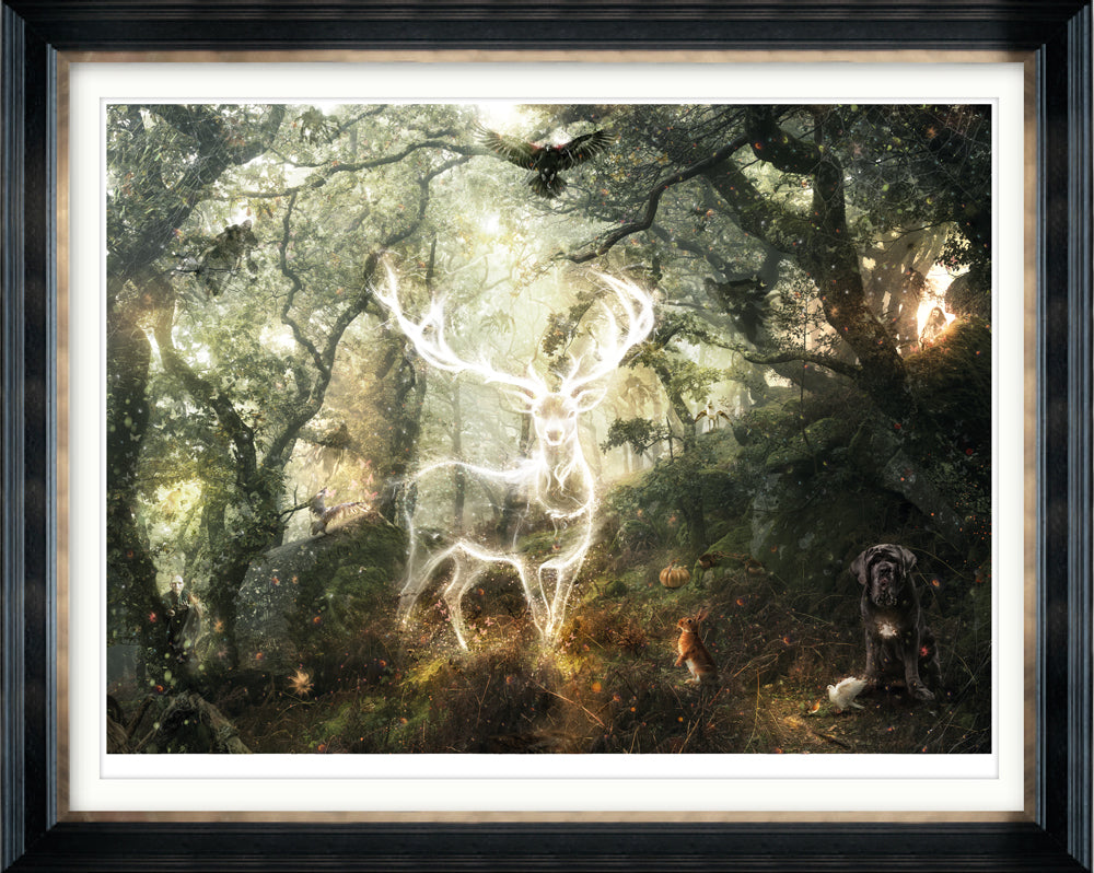 Mark Davies Harry Potter - Expecto Patronum - The Acorn Gallery, Pocklington