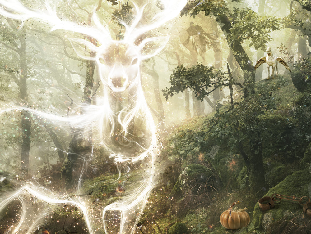 Mark Davies Harry Potter - Expecto Patronum - The Acorn Gallery, Pocklington