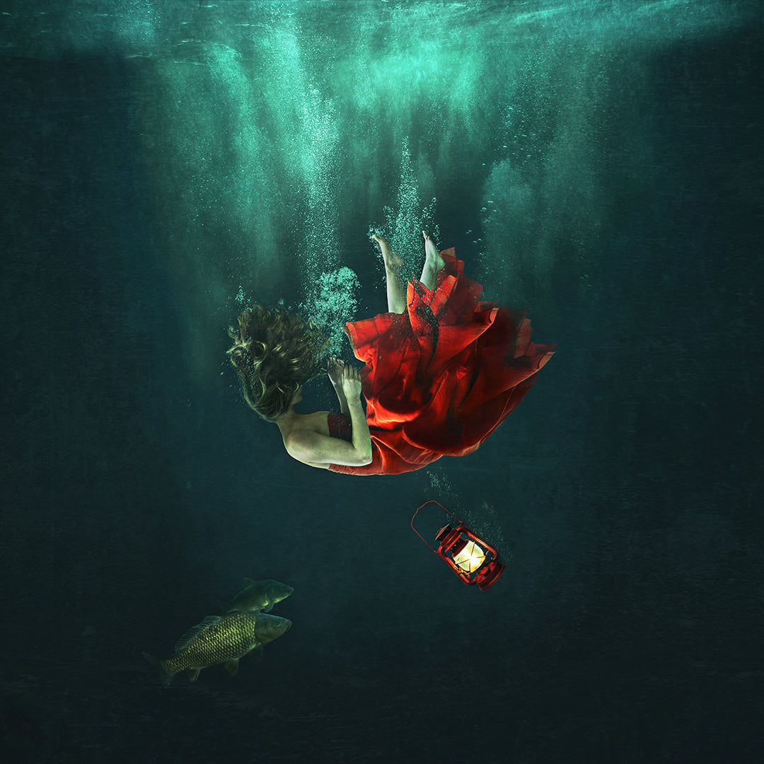 Michelle Mackie Adrift - The Acorn Gallery, Pocklington