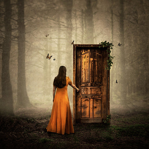 As One Door Shuts by Michelle Mackie