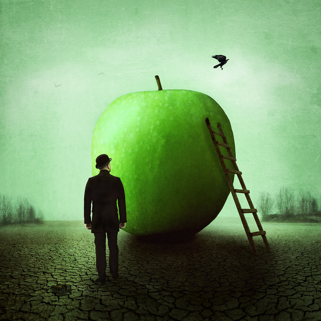 Obscured by Michelle Mackie