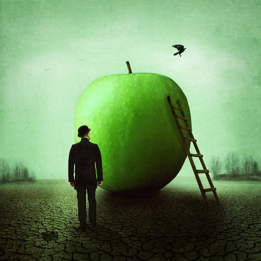 Obscured by Michelle Mackie