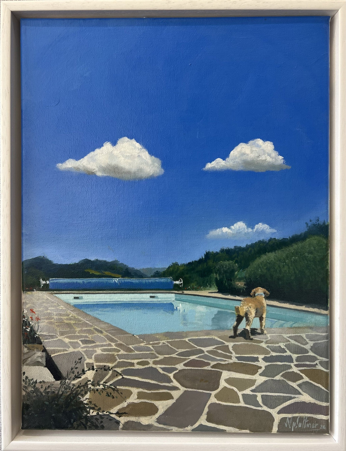 Nick Saltmer Archie Contemplates A Big Splash Original of a dog lloking to jump into a swimming pool available from The Acorn Gallery, Pocklington