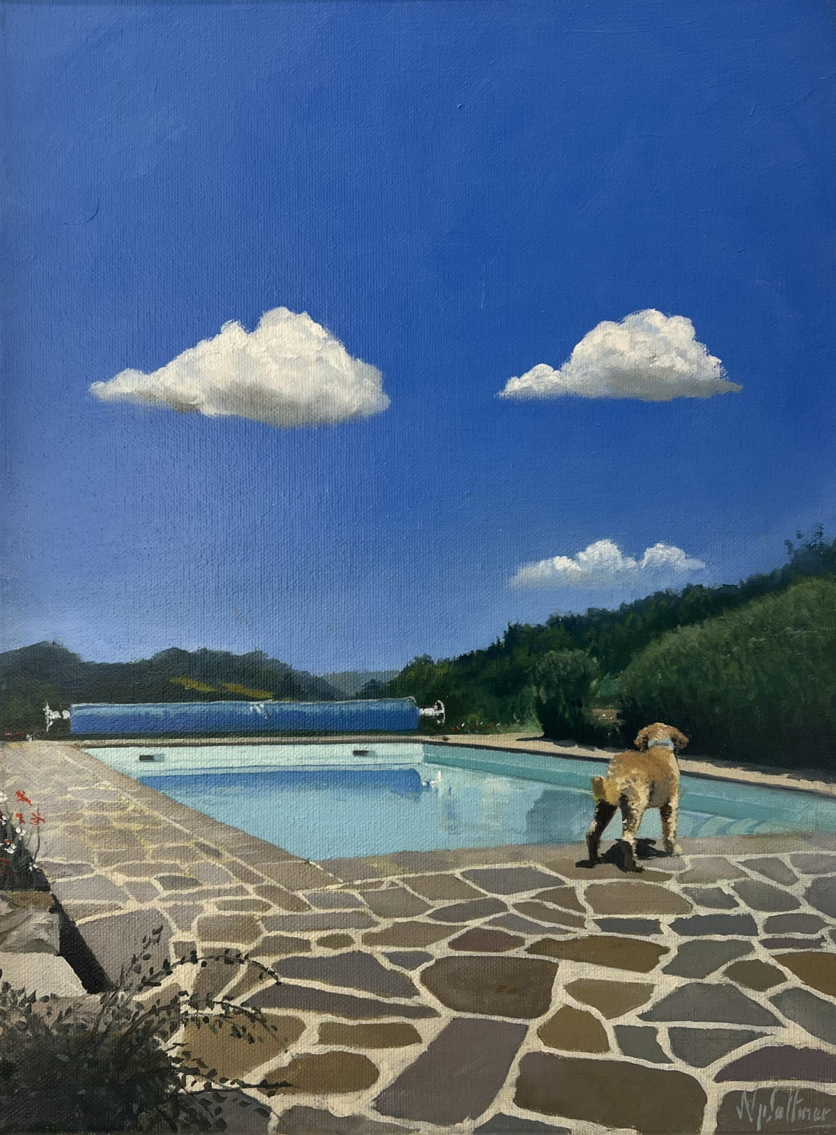 Nick Saltmer Archie Contemplates A Big Splash Original of a dog lloking to jump into a swimming pool available from The Acorn Gallery, Pocklington