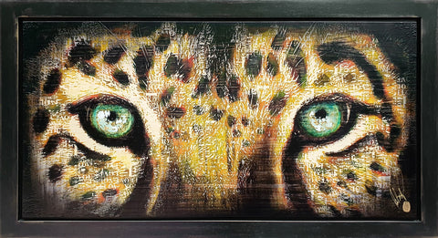 Leopard Eyes by Rob Bishop