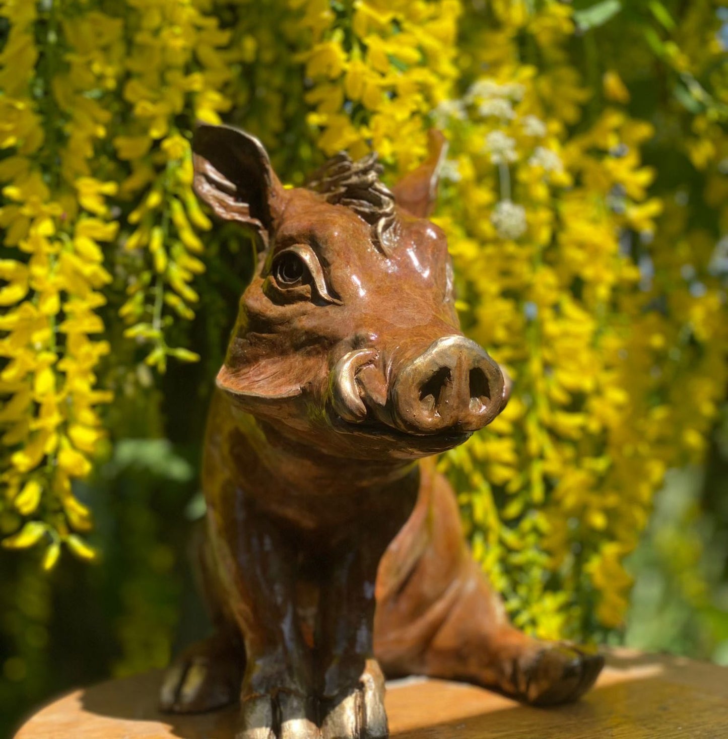 A fabulous bronze warthog sculpture by Yorkshire artist Roxy Winterburn. Order Now with Free UK Delivery. Small Edition Only. Visit the Gallery or Shop Online