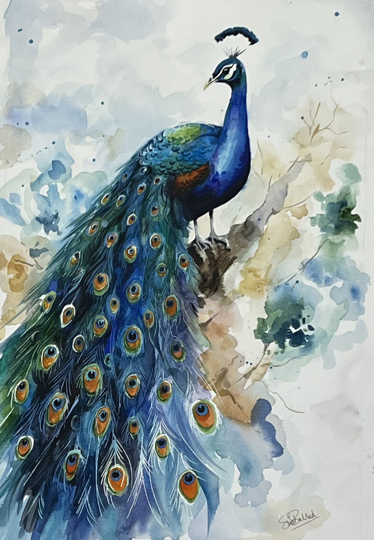 Peacock watercolour painting by Sue Ballard, with a vivid blue neck and layered green tail feathers covered in eye-like spots.