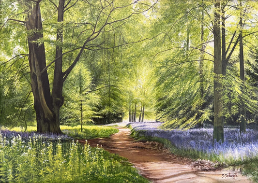 Thorpe Perrow Bluebells ORIGINAL by Suzanne Cartwright
