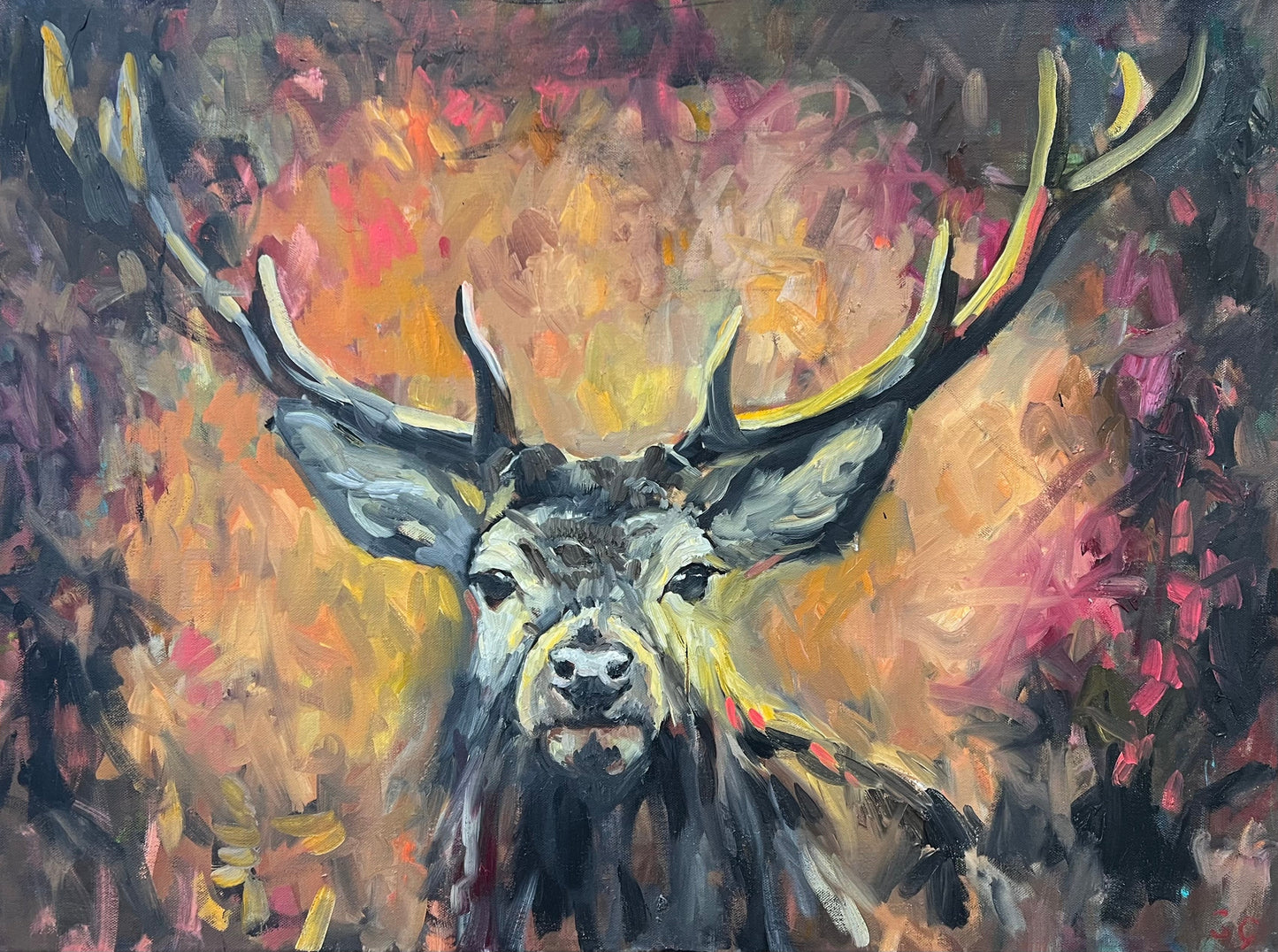Sue Gardner Gleneagles Stag Original - The Acorn Gallery, Pocklington