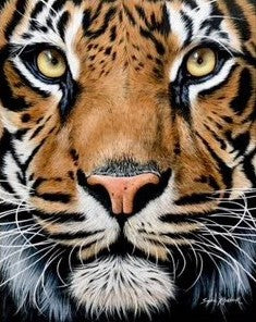 Sophie Kilpatrick Gaysha Original - The Acorn Gallery, Pocklington