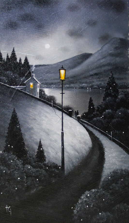 Almost Home ORIGINAL by Tony Gittins NEW
