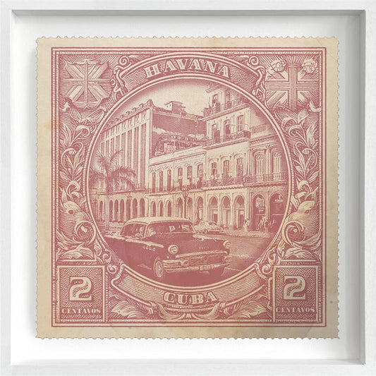 Wild Lemon Havana - The Acorn Gallery, Pocklington