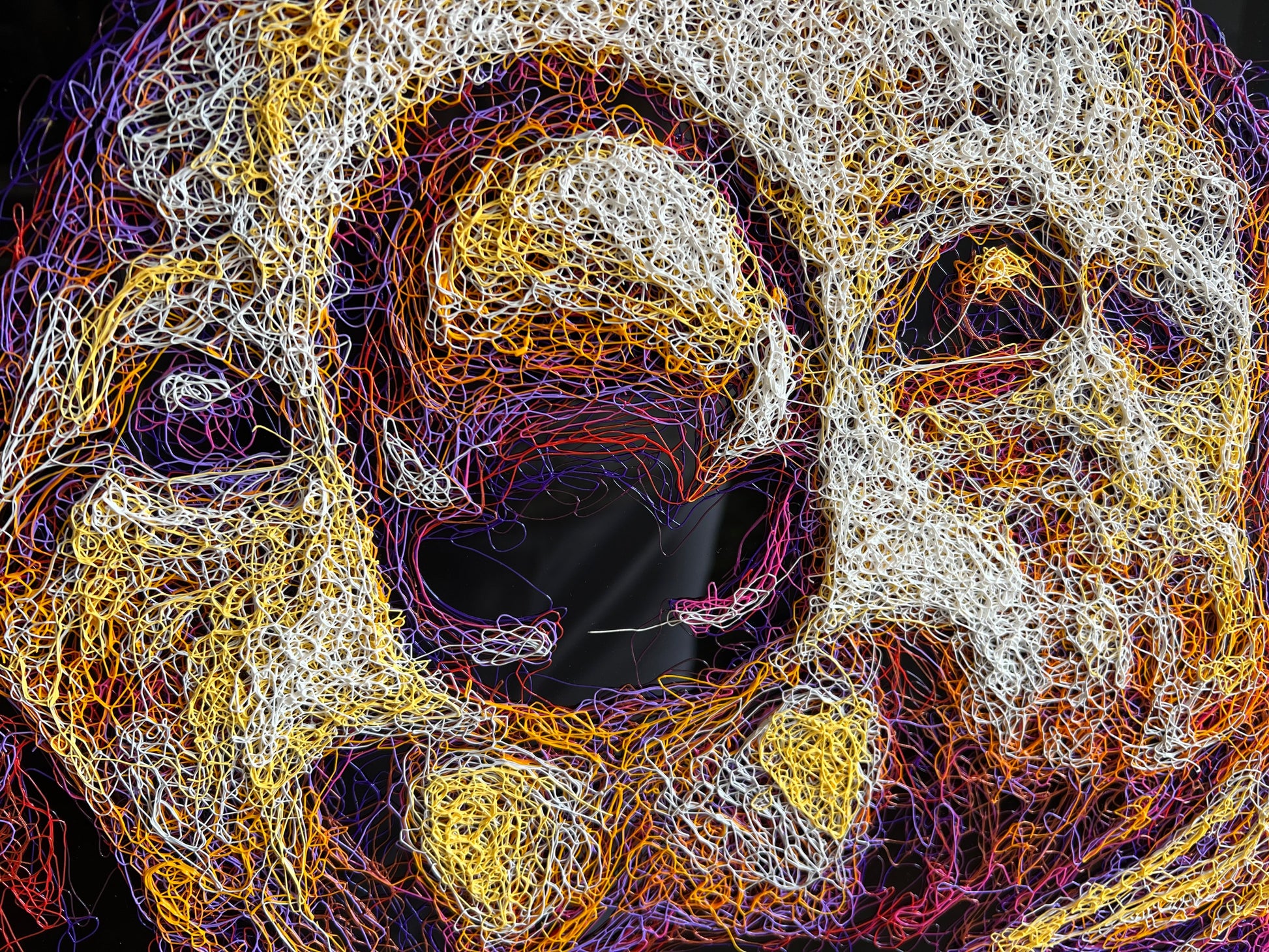Close up of the Zalini scribble technique on this koala bear by the artist Zalini which is available at The Acorn Gallery in Pocklington. 