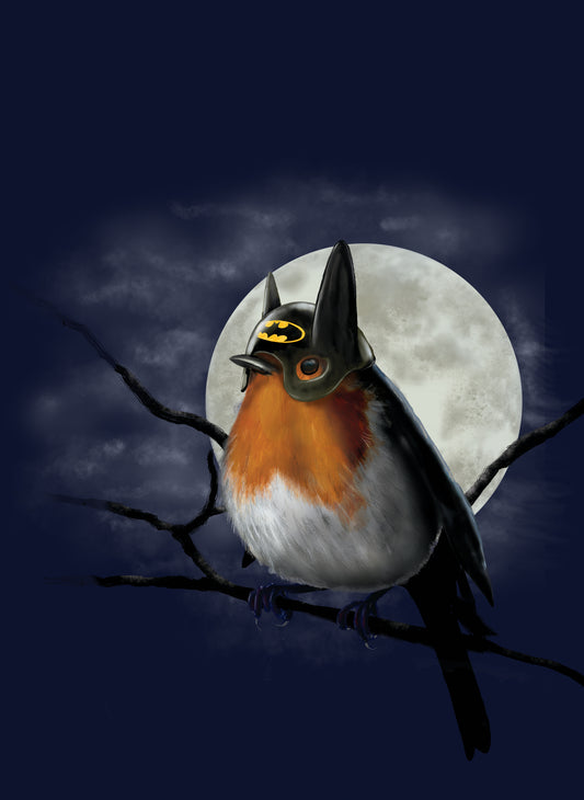 Angus Gardner Nobodys Sidekick (Robin) Limited Edition Print - The Acorn Gallery, Pocklington