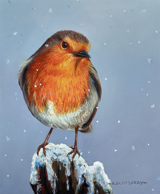 Alex McGarry Snowy Robin Original Painting - The Acorn Gallery, Pocklington