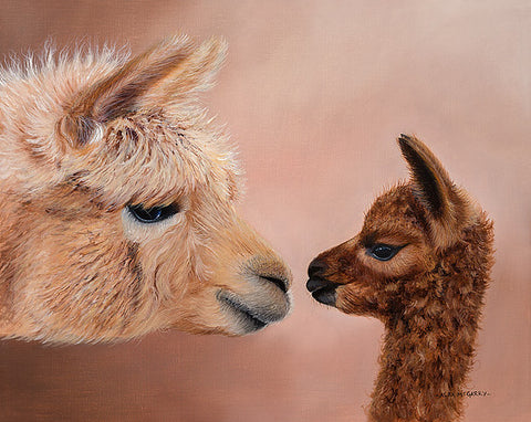 Hello Mum (Alpaca) by Alex McGarry-Limited Edition Print-The Acorn Gallery