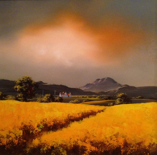 Allan Morgan Fields Of Gold VIII Original - The Acorn Gallery, Pocklington