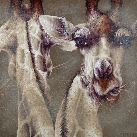 Look Both Ways by Amanda Stratford-Limited Edition Print-The Acorn Gallery