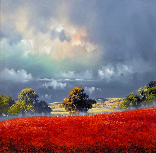 Poppies Original by Allan Morgan - The Acorn Gallery, Pocklington