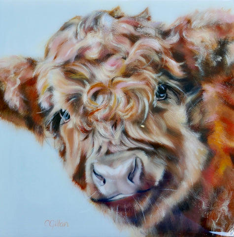 Robert Original by Carol Gillan *SOLD*-Original Art-The Acorn Gallery-Carol-Gillan-bovine-artist-cows-artwork-The Acorn Gallery
