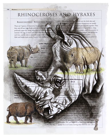 Tough (Rhino) Original by Chess *SOLD*