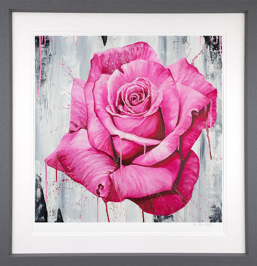 Dean Martin A Magenta Rose - The Acorn Gallery, Pocklington