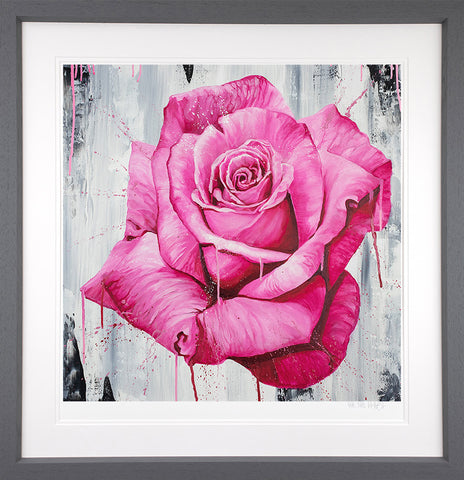 A Magenta Rose by Dean Martin