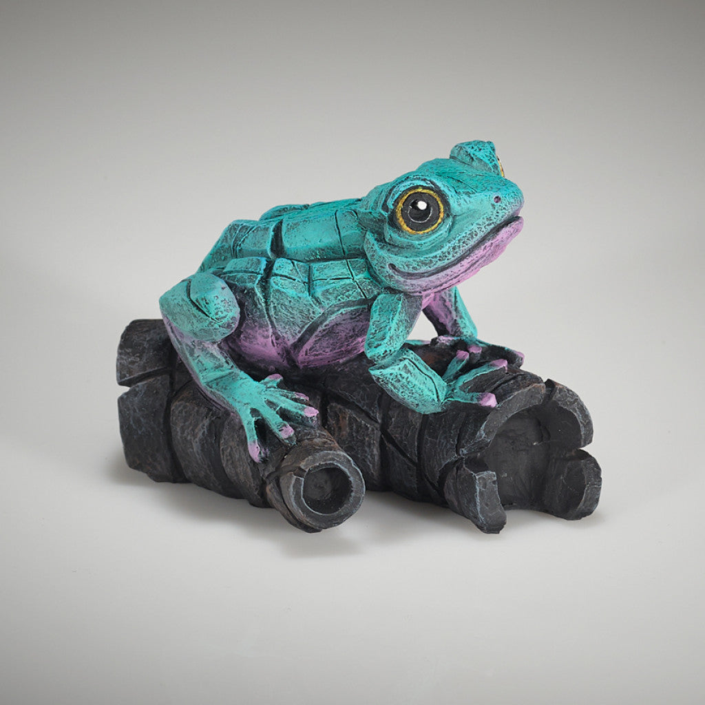 EDGE Sculpture African Tree Frog Aqua Pink - The Acorn Gallery, Pocklington