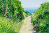 Down To The Beach by Heather Howe-Limited Edition Print-The Acorn Gallery