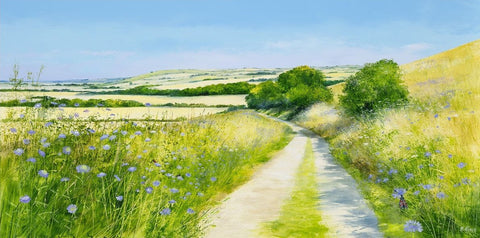 Summer On The Downs by Heather Howe