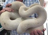 Rattlesnake ORIGINAL Sculpture by Joseph Hayton *SOLD*