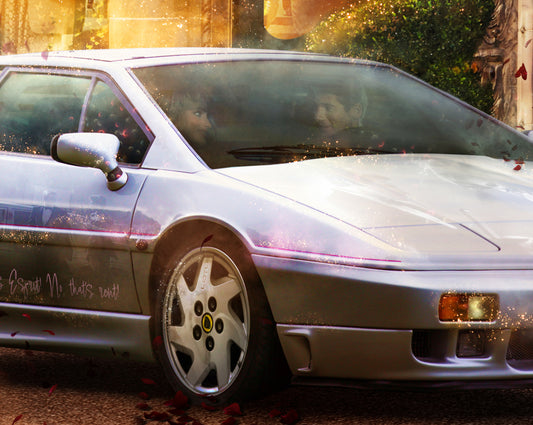 Mark Davies I Want The Fairytale Pretty Woman - The Acorn Gallery. Pocklington