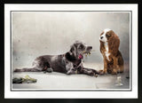 I'd Give My Last Meatball (Lady And The Tramp) by Mark Davies-Limited Edition Print-The Acorn Gallery