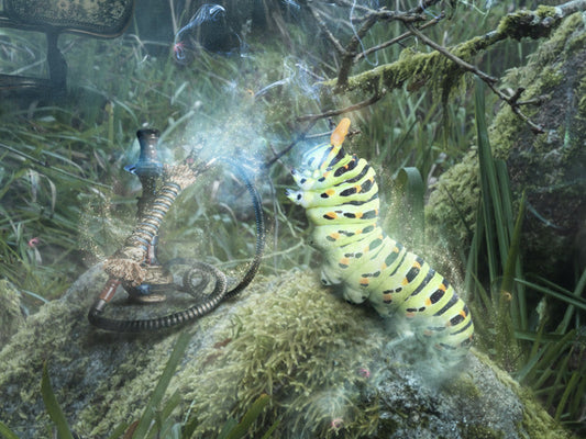 Mark Davies The Open Door Alice In Wonderland - The Acorn Gallery, Pocklington