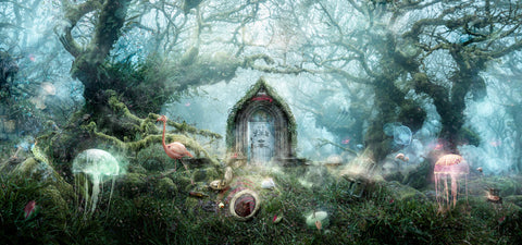 The Open Door (Alice In Wonderland) by Mark Davies-Limited Edition Print-The Acorn Gallery
