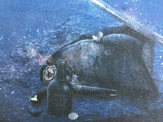 Mark Davies My Spirit Will Live On Pirates Of The Caribbean - Limited Edition Print - The Acorn Gallery, Pocklington