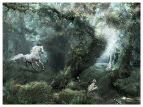 Not All Who Wander Are Lost (Lord Of The Rings) by Mark Davies-Limited Edition Print-The Acorn Gallery