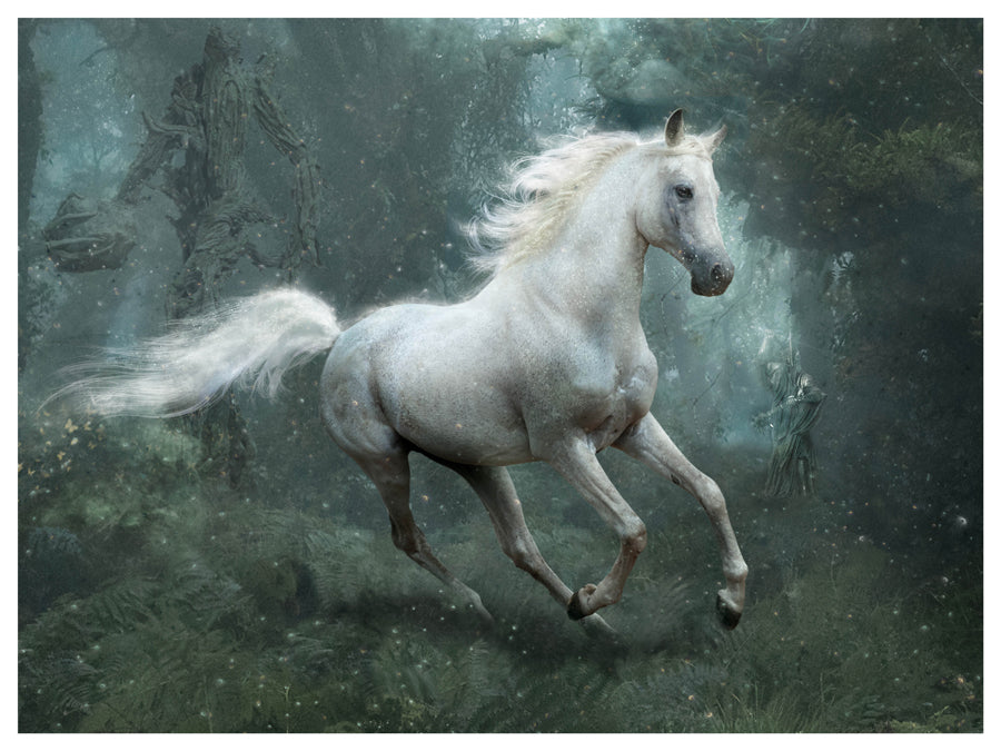 Mark Davies Not All Who Wander Are Lost Lord Of The Rings-Limited Edition Print-The Acorn Gallery, Pocklington