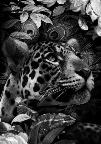 Beauty Of Nature (Black And White) by Matt Dwyer *NEW*-Limited Edition Print-The Acorn Gallery