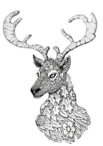 Mike Jackson Stag Original Pen And Ink Drawing - The Acorn Gallery, Pocklington