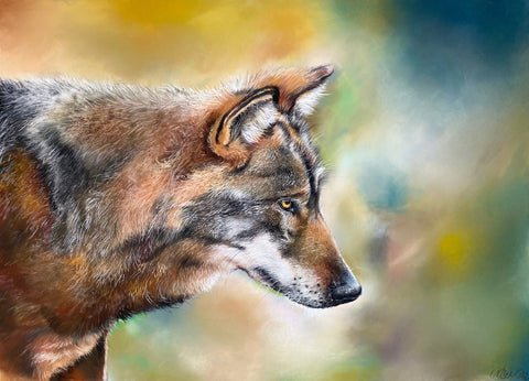 Solace - Lone Wolf ORIGINAL by Natalie Bell