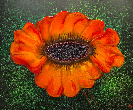 Big And Bold Poppy Original by Robert Cox - The Acorn Gallery