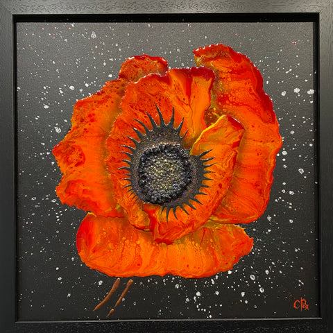 Natural Beauty (Poppy) Original by Robert Cox *NEW*-Original Art-The Acorn Gallery