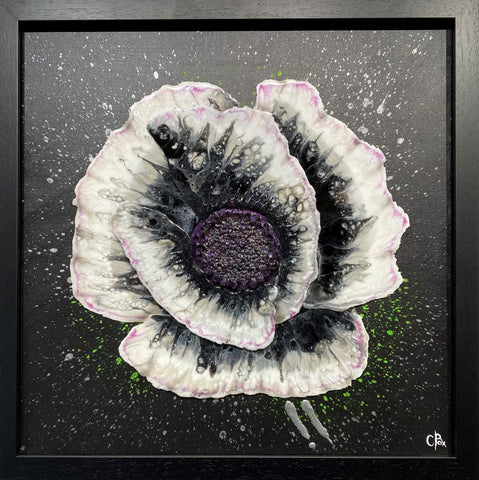Poppy Pearl Original by Robert Cox *NEW*-Original Art-The Acorn Gallery