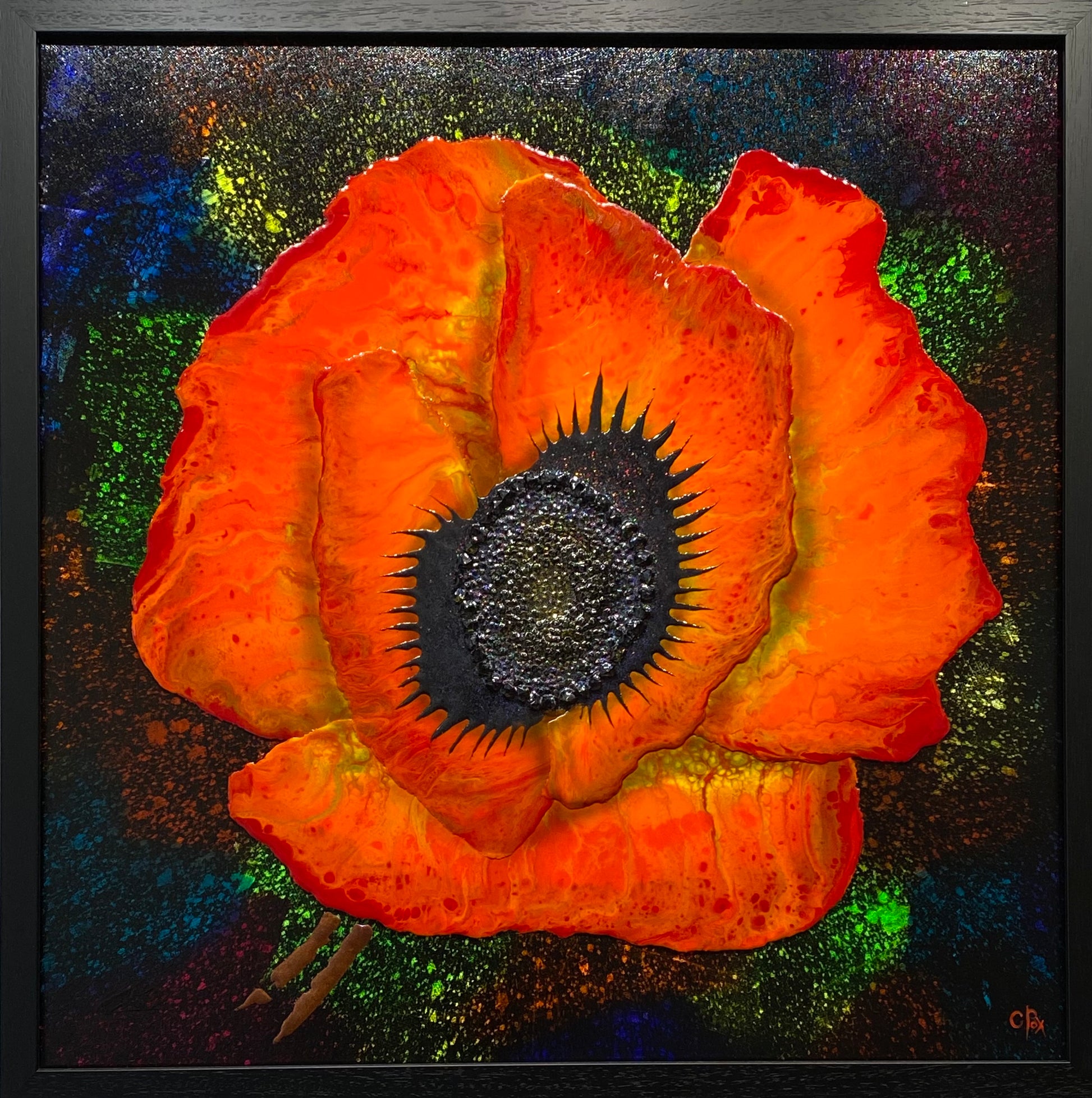 Stunner Poppy Original by Robert Cox - The Acorn Gallery, Pocklington