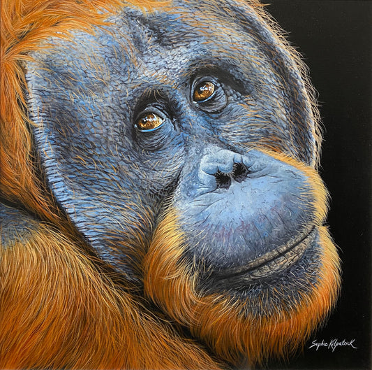 Sonny Orangutan Original by Sophie Kilpatrick - The Acorn Gallery, Pocklington