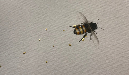 Remembrance Original by Sarah Louise Ewing. A beautifully framed painting with intricate detail. More Birds Available. Secure UK Delivery. Shop Online.