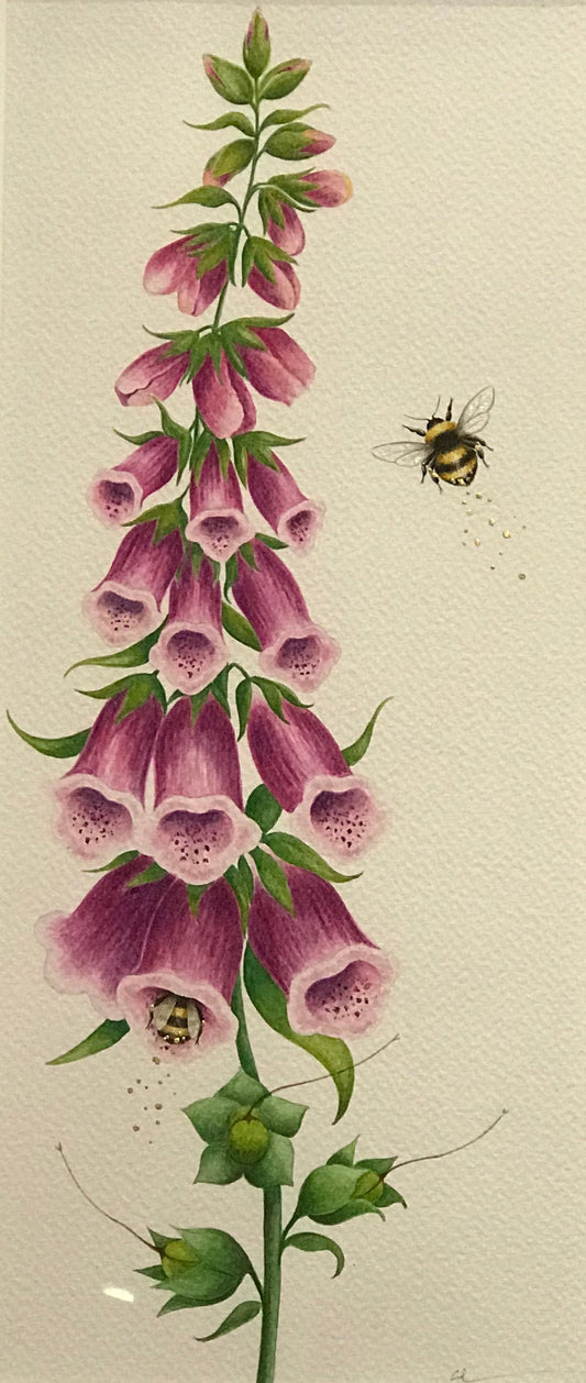 Sarah Louise Ewing Foxgloves with Bees Original. A beautifully framed painting with intricate detail. More Birds Available. Secure UK Delivery. Shop Online.