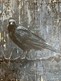Silas ORIGINAL Crow by Shaun Tymon